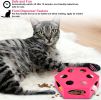 FluffyDream Interactive Cat Maze Box Toy, Electrical Cat Exercise Teaser Toy with Plush Tail & Ball Contains Bells, Fluffy Toys, Toys for Indoor Cats,