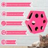 FluffyDream Interactive Cat Maze Box Toy, Electrical Cat Exercise Teaser Toy with Plush Tail & Ball Contains Bells, Fluffy Toys, Toys for Indoor Cats,